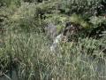 thm_31138534.jpg